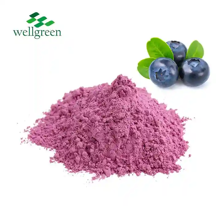 Blueberry Extract Powder